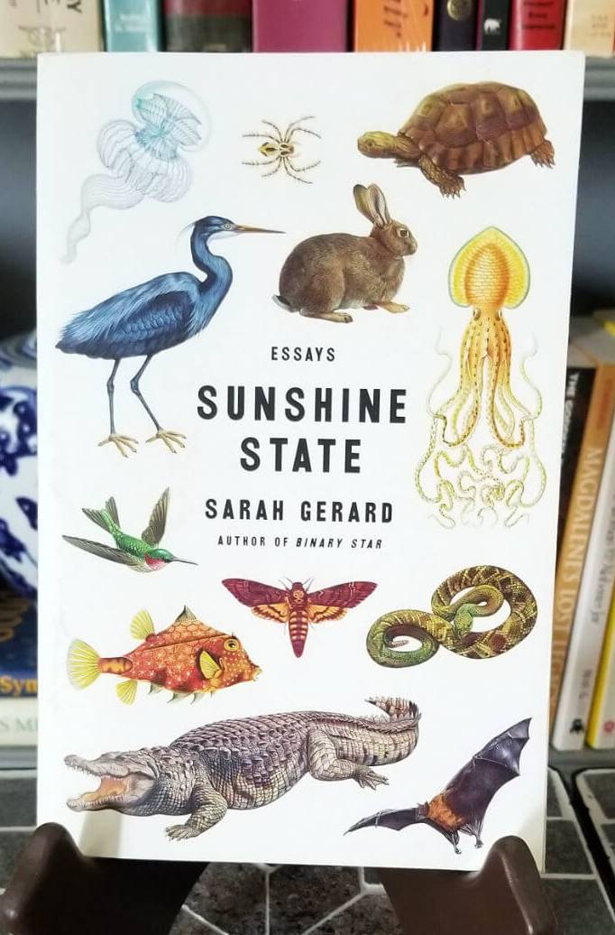 book cover of Sunshine State by Sarah Gerard